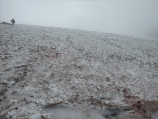 北鎮岳に向かう道中の雪渓は雨により足元が滑るようになっていたため雪を割り足場を作りました。
