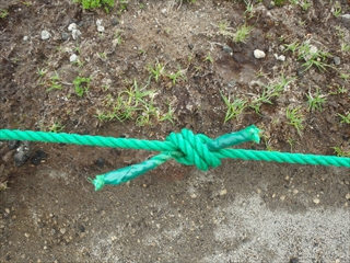 補修したロープ