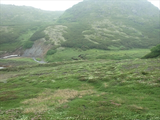 北海沢の様子