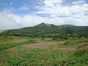 チングルマ群落と烏帽子岳（雲ノ平）