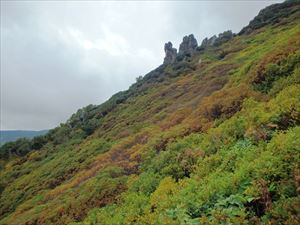 マネキ岩の紅葉