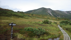 第一花畑から緑岳山頂