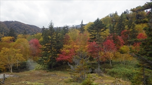 高原温泉の紅葉