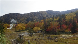 高原温泉の紅葉