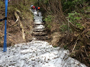 樹林帯の残雪の様子
