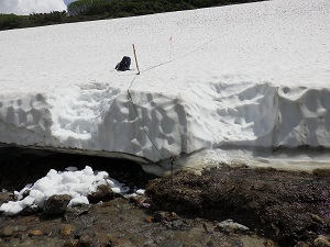 対岸の雪渓