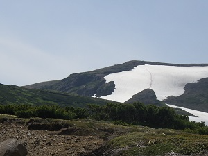 遠方から北鎮岳道中の雪渓（マーキング後）
