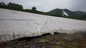第一花畑奥の雪渓