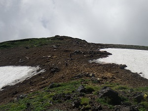 歩道が見えるまで雪解けが進んだ様子