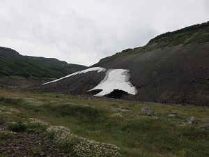 北海沢の雪渓の状況