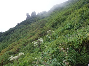 マネキ岩付近
