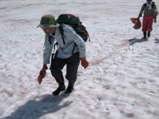 雪上の登山道にベンガラ(赤色の顔料)でマーキングするGSS