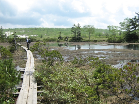 沼ノ原湿原