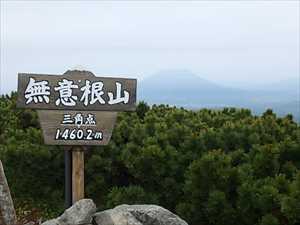 無意根山山頂