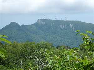 山頂からの手稲山