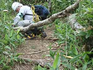 歩道上の倒木を撤去