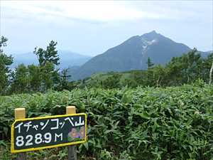 イチャンコッペ山山頂