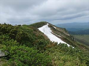 山頂の様子