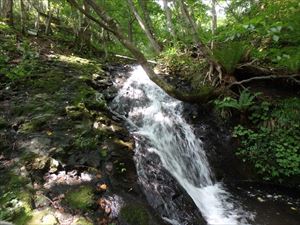 こちらは入山口付近にある八垂別の滝の様子です。