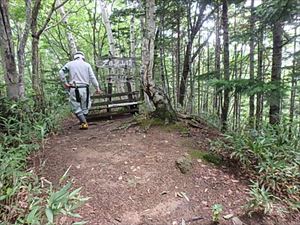 こちらが山頂の様子です。