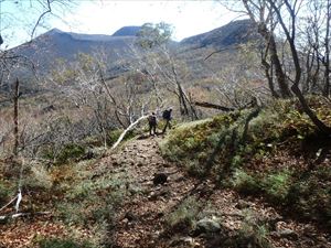 奥に見えるのは樽前山です。