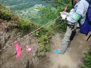 歩道脇が崖となっている部分の点検を行いました