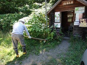 繁茂したオオイタドリの刈り取りを行いました。 