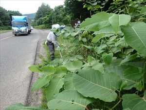 無意根山薄別コースの入山口