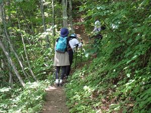 本日は10名の入山者を確認しました。