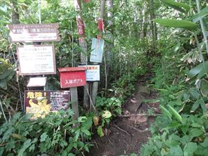 岩戸公園コースの入林口