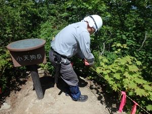 山頂では、冬季中に破損したロープの補修等を行いました。