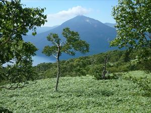 恵庭岳