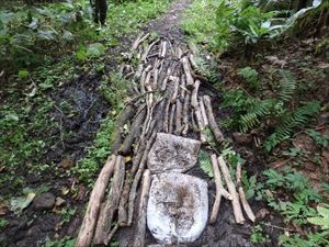 土嚢と倒木で悪路を補修している様子