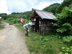 春香山小屋周辺のオオイタドリ、ササなどの刈り取りを行いました。