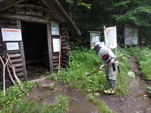 雑草の刈り取りを行いました。