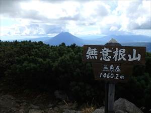 無意根山の標高は1464メートルですが、二等三角点が設置されている場所の標高は1460.2メートルです。