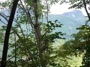 山頂手前から見た神威岳