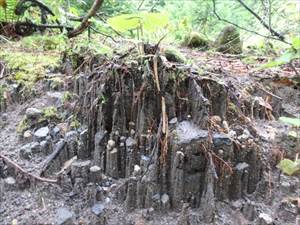 雨で浸食された火山灰土。