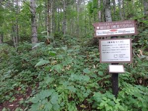 本日は、朝日岳の薄別左岸コース（旧豊林荘）から岩戸公園コースまでを巡視しました。