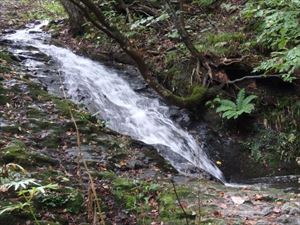 入山口にある八垂別の滝