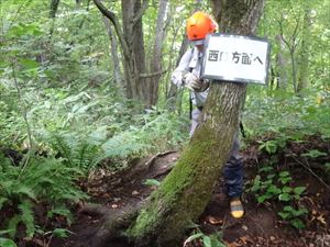 西コース歩道脇に案内看板を設置。