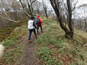 本日、樽前コースでは11名の入山者を確認しました。