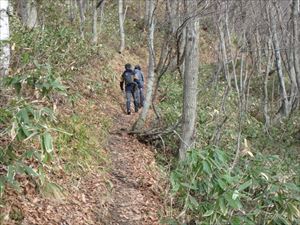 本日、小林峠コースからは9名の入山者を確認しました。