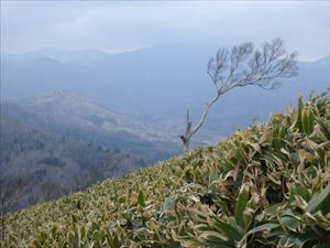 9合目付近から見た漁岳方面