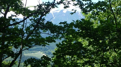 山頂からの余市岳