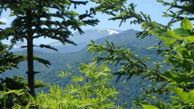 見晴台から見た無意根山