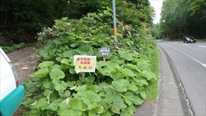 国道453号線沿いにある風不死岳北尾根コースの入山口