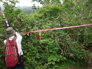 空沼岳への進行方向にピンクテープとトラロープをはり、誤進入を防ぎました。