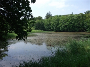 原の池