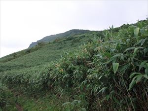 分岐点手前から見た山頂の様子